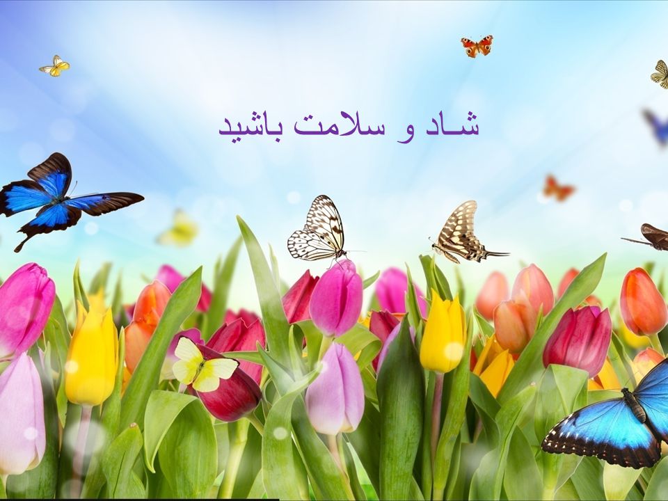 سلامتی